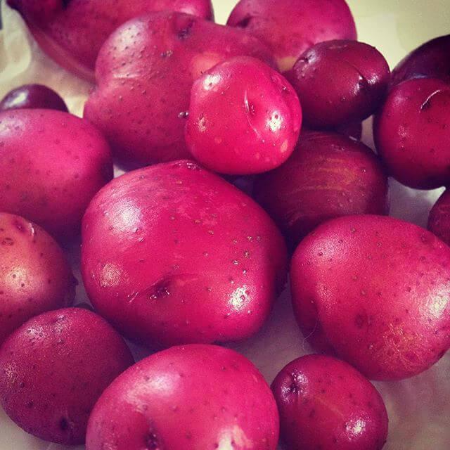 Homegrown baby red potatoes