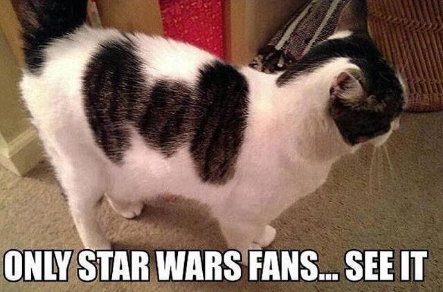 Only Star Wars fans see it