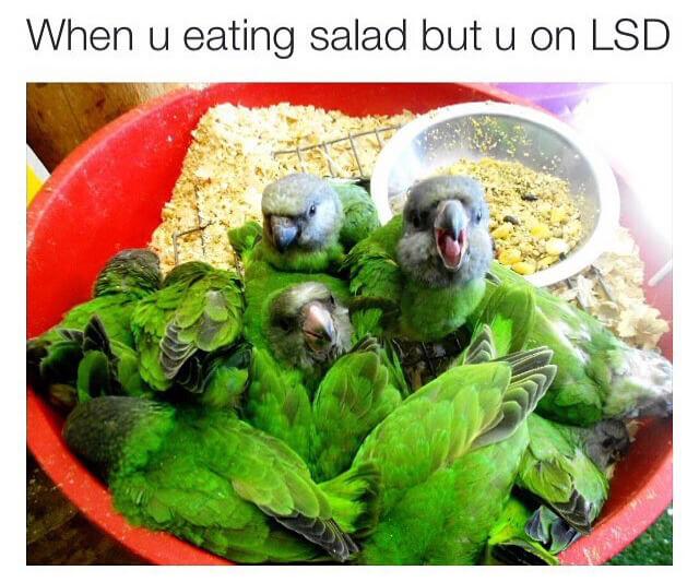 When u eating salad but u on LSD