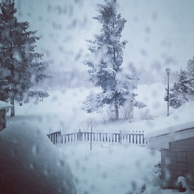 its snowing photo for 2015