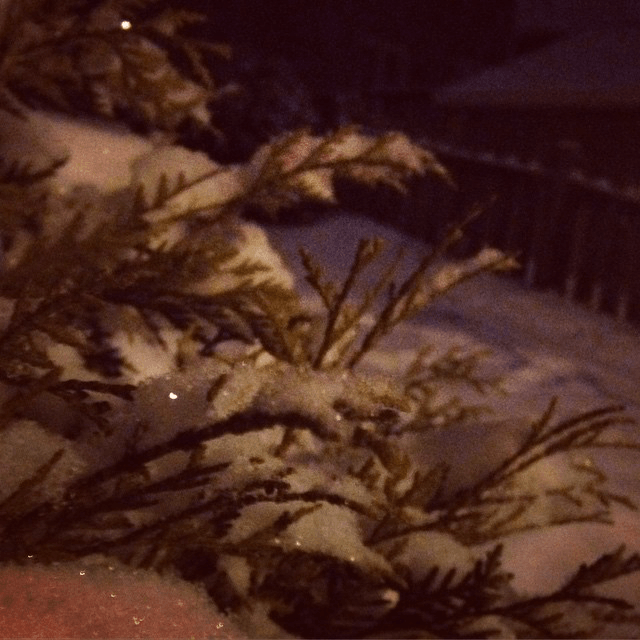 winter is still here in the suburbs of chicago