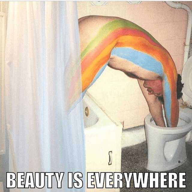 beauty is everywhere