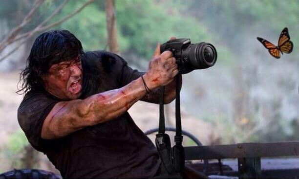 Stallone photographing a butterfly