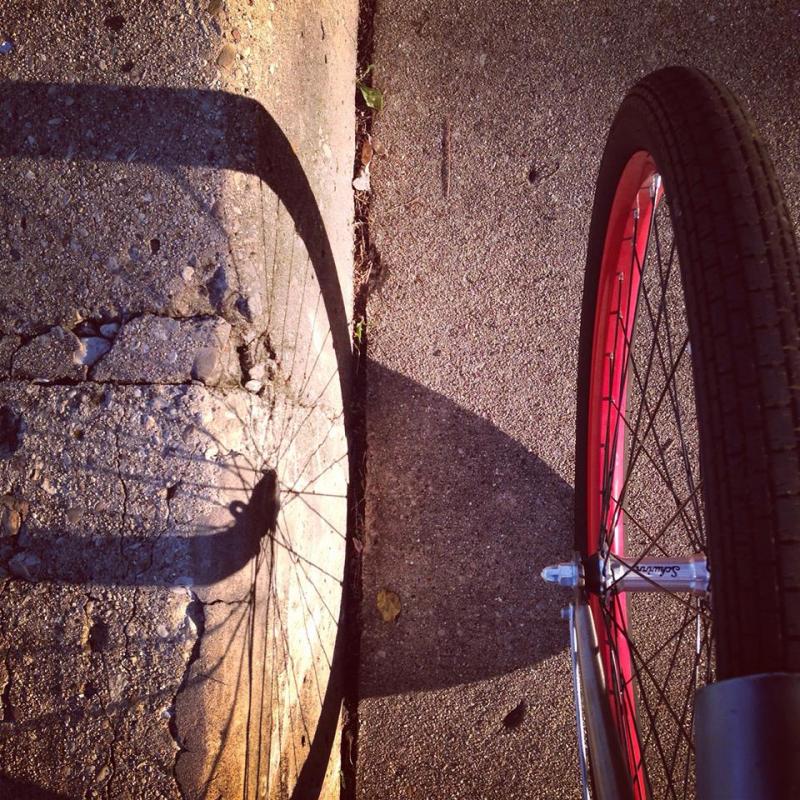 Bike spoke shadows