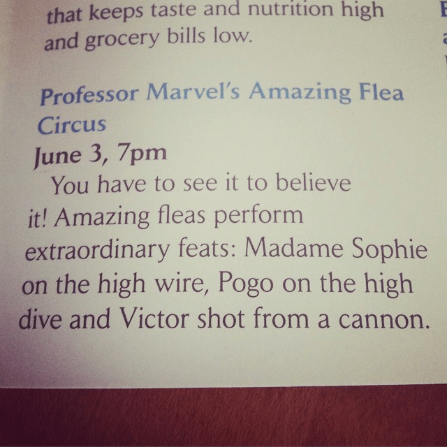 Professor Marvels Amazing Flea Circus