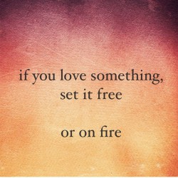Set it free or on fire
