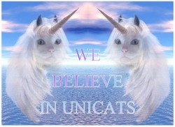 We believe in unicats