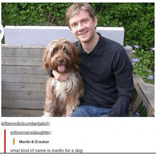 What kind of name is Martin for a dog