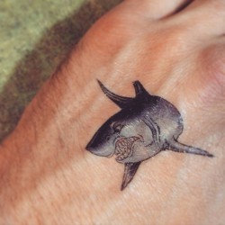 temporary jaws tatto