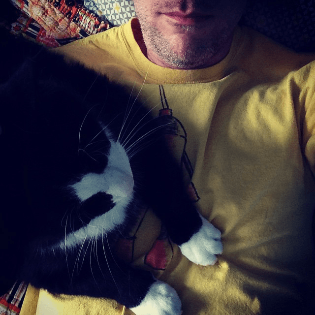 fat cat doesnt respect my face space boundaries