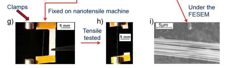 Spiders Ingest Nanotubes, Then Weave Silk Reinforced with Carbon | MIT Technology Review
