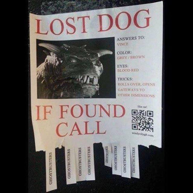Lost dog  answers to Vince