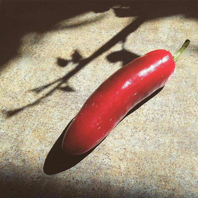 red ripe jalapeno