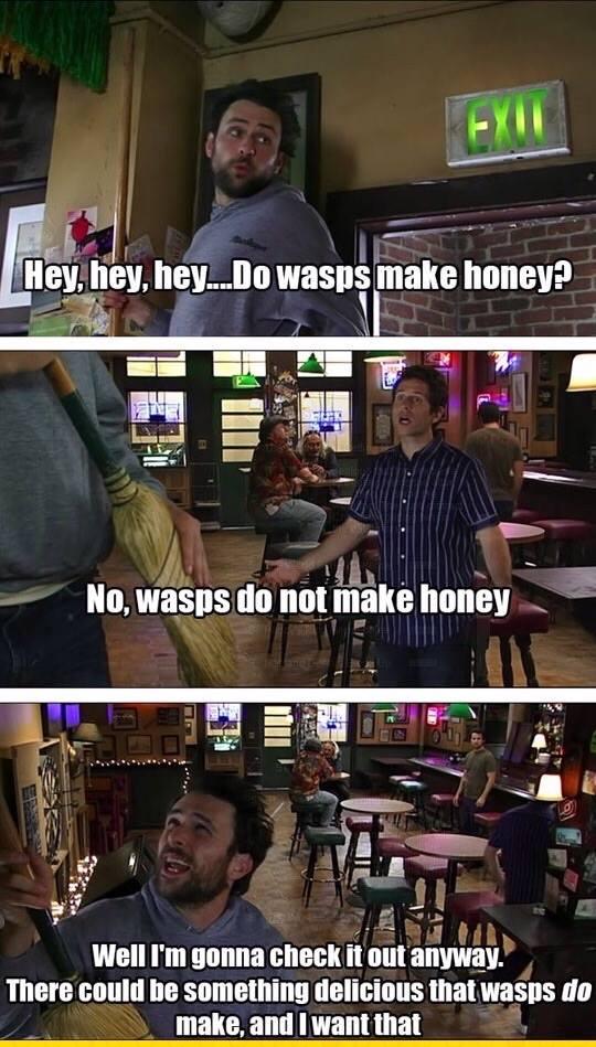 wasps do not make honey