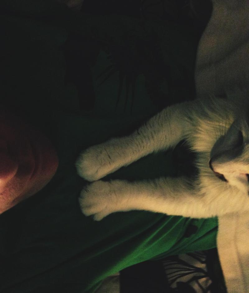 Late night photo shoot with cat 4