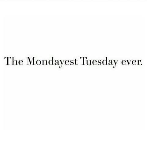 The Mondayest Tuesday ever