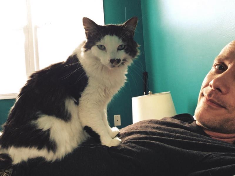 Cat thinks she owns me