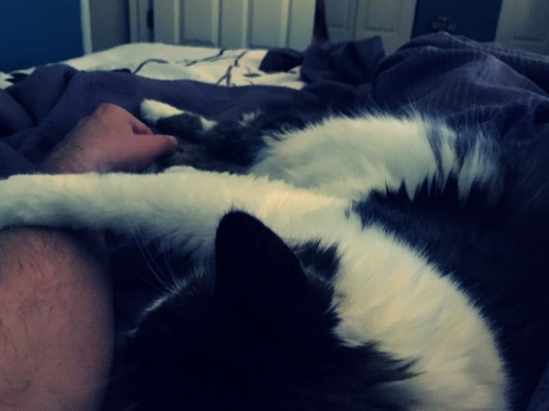 Cat will keep loving me if I keep being me