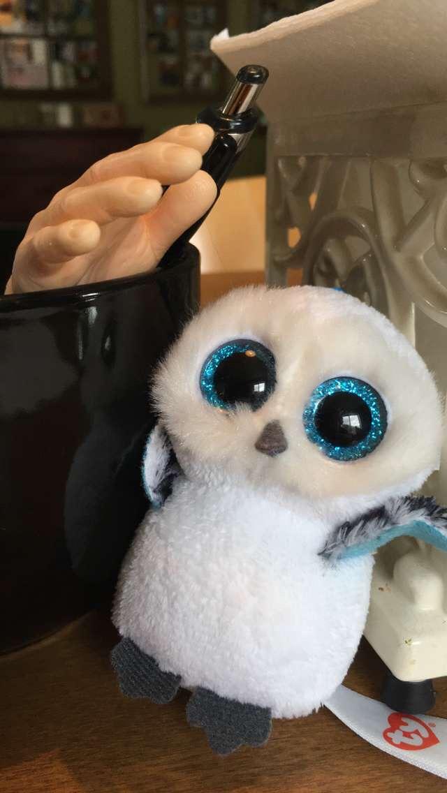Hand vs Beanie Baby Owl