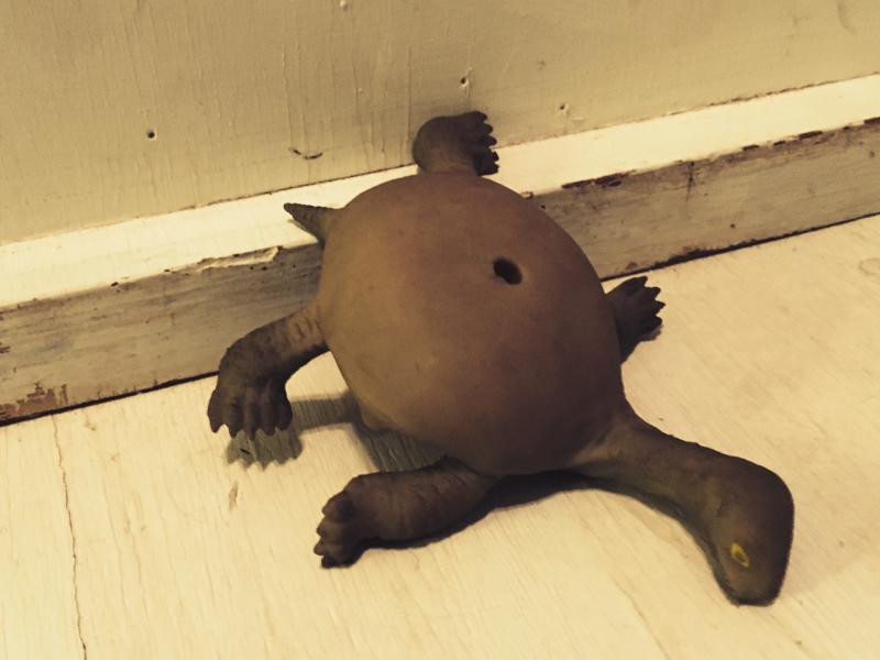I can relate to Cat's turtle