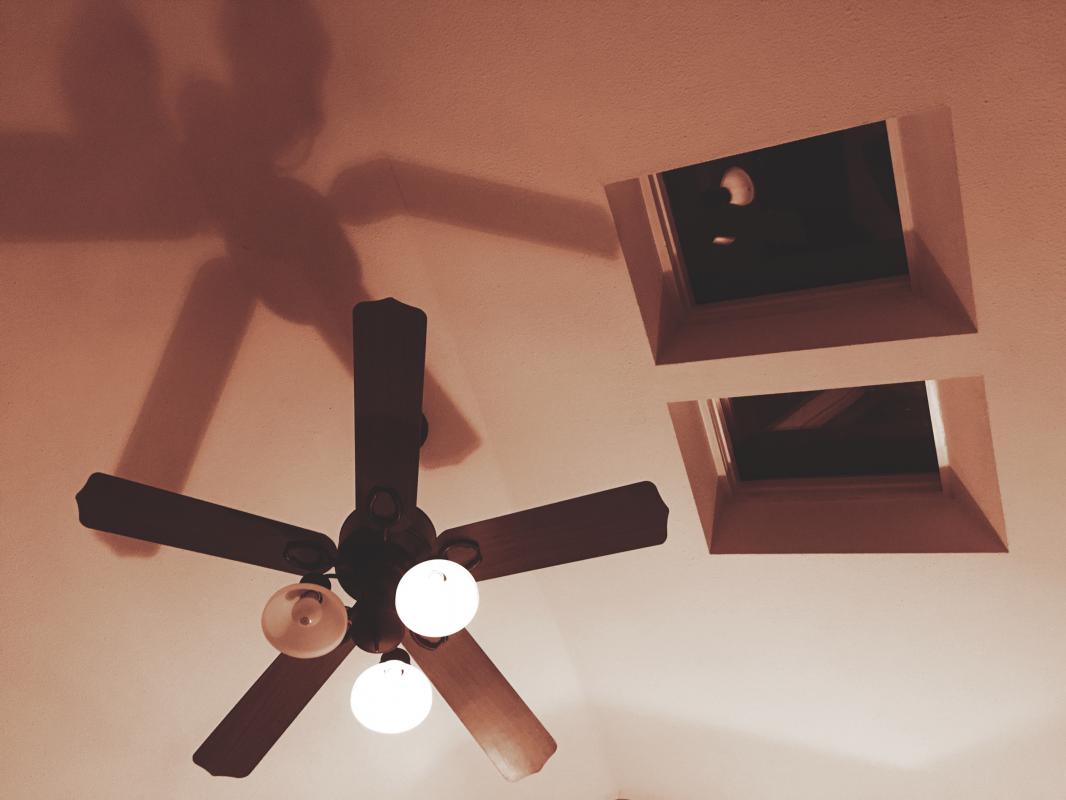 Sepia ceiling fan