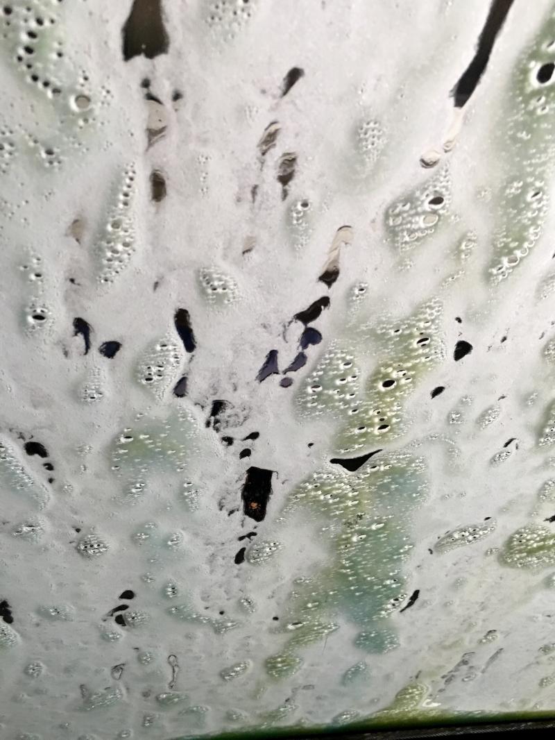 Suds at the Tyler Street car wash