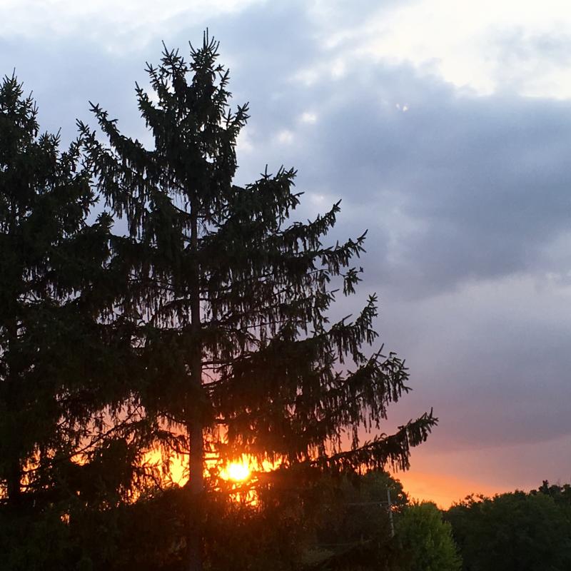 This sunset never gets old