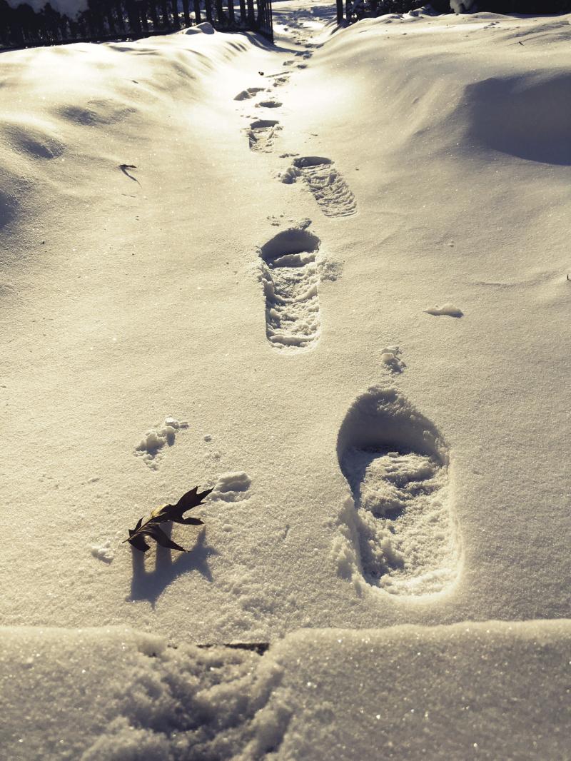 Footprints in the snow