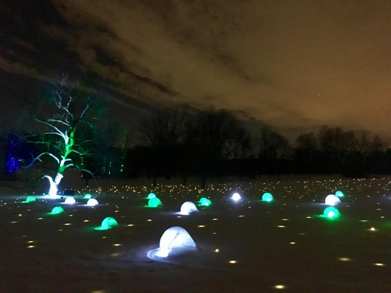 Morton Arboretum - Ornament Hill