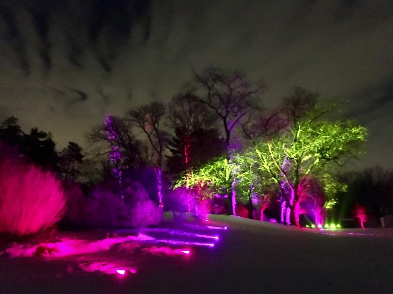 Morton Arboretum - Symphony Woods