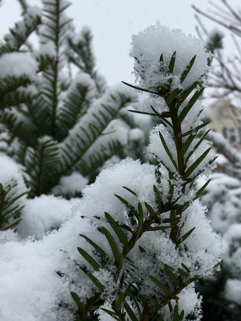 Obligatory first 2016 snow photoshoot 2