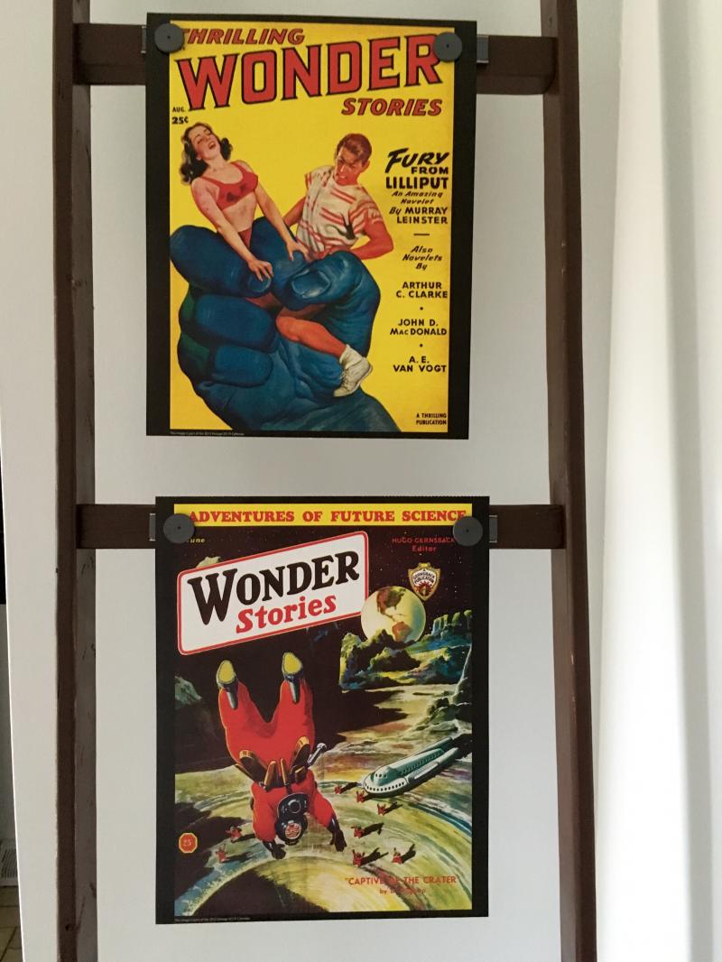 Wonder Stories ladder 1