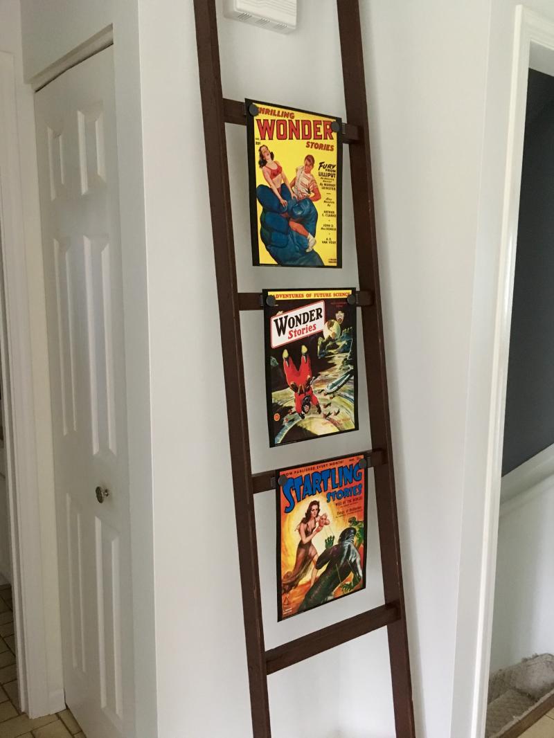 Wonder Stories ladder 2