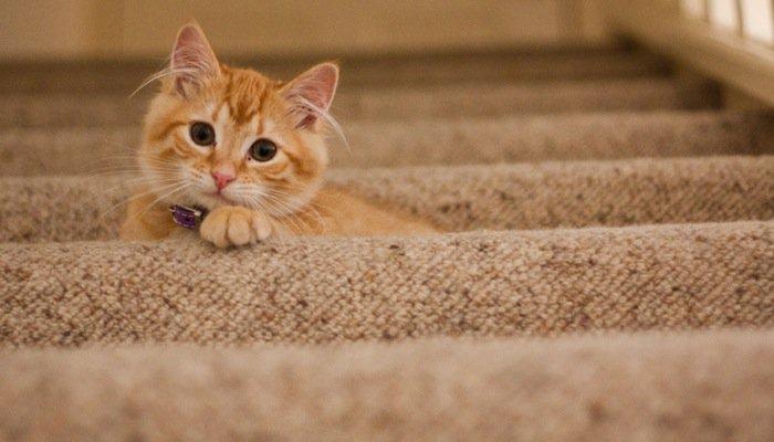 15 Things That Are Harder To Obtain Than A Gun