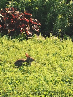 Baby bun at 9 oclock