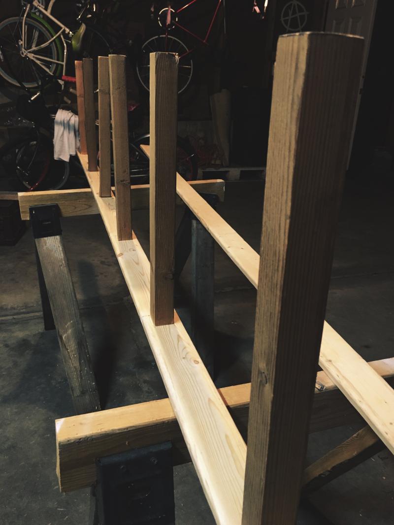Cat needed a new ladder