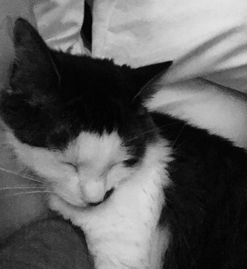 She's so tired...it ain't easy being Cat