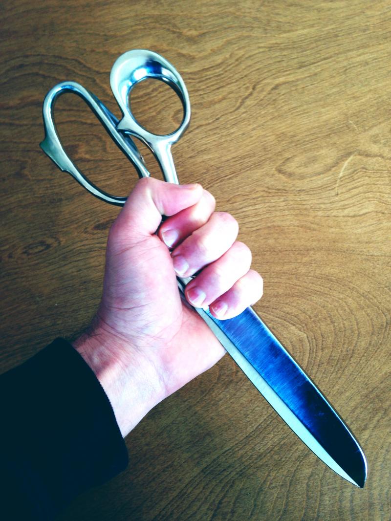 12 inch scissors