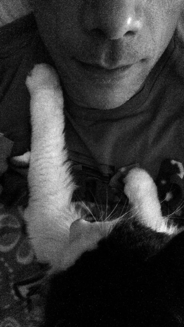 Cat moving her paws up