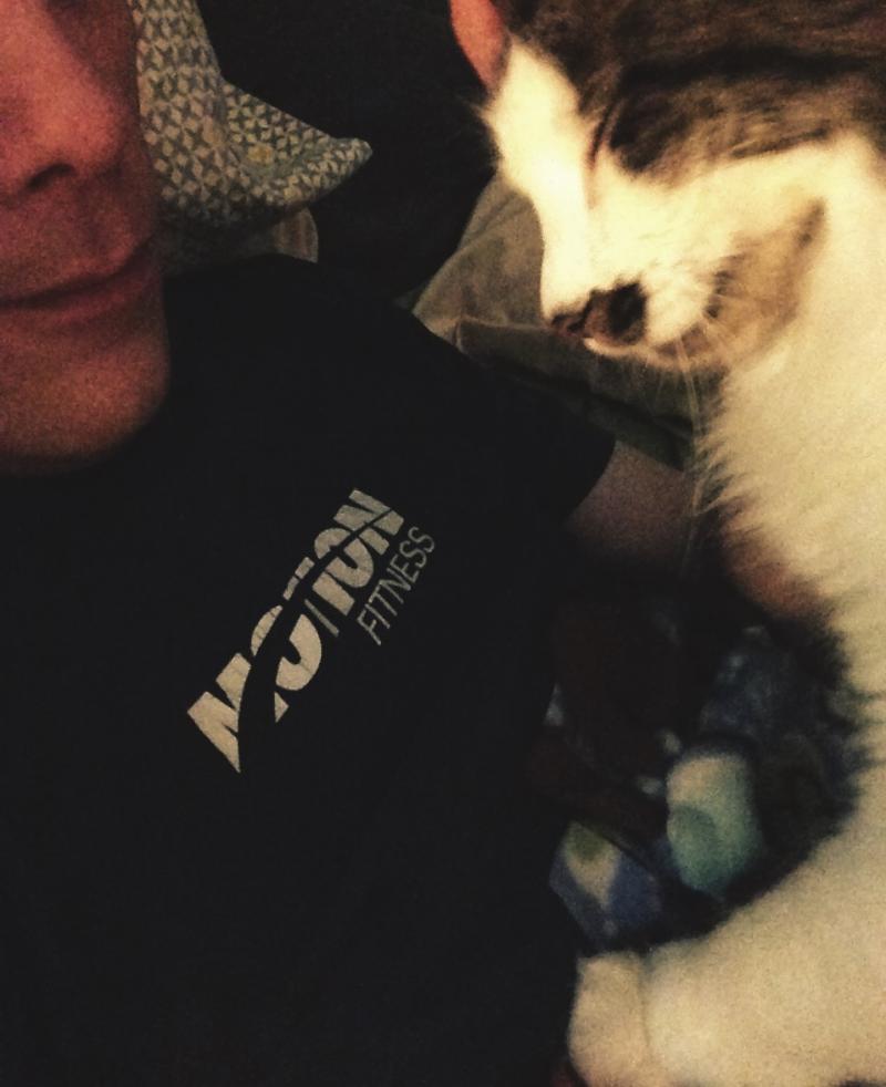 Cat wants her face rubbed 2