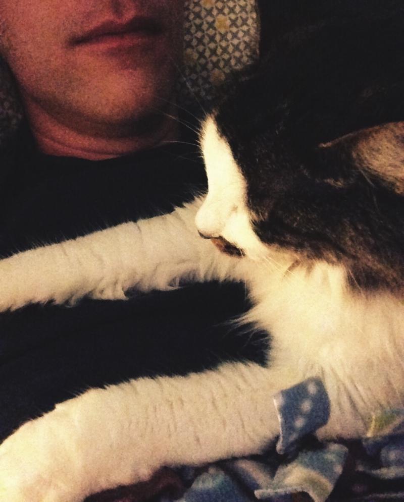 Cat wants her face rubbed 3