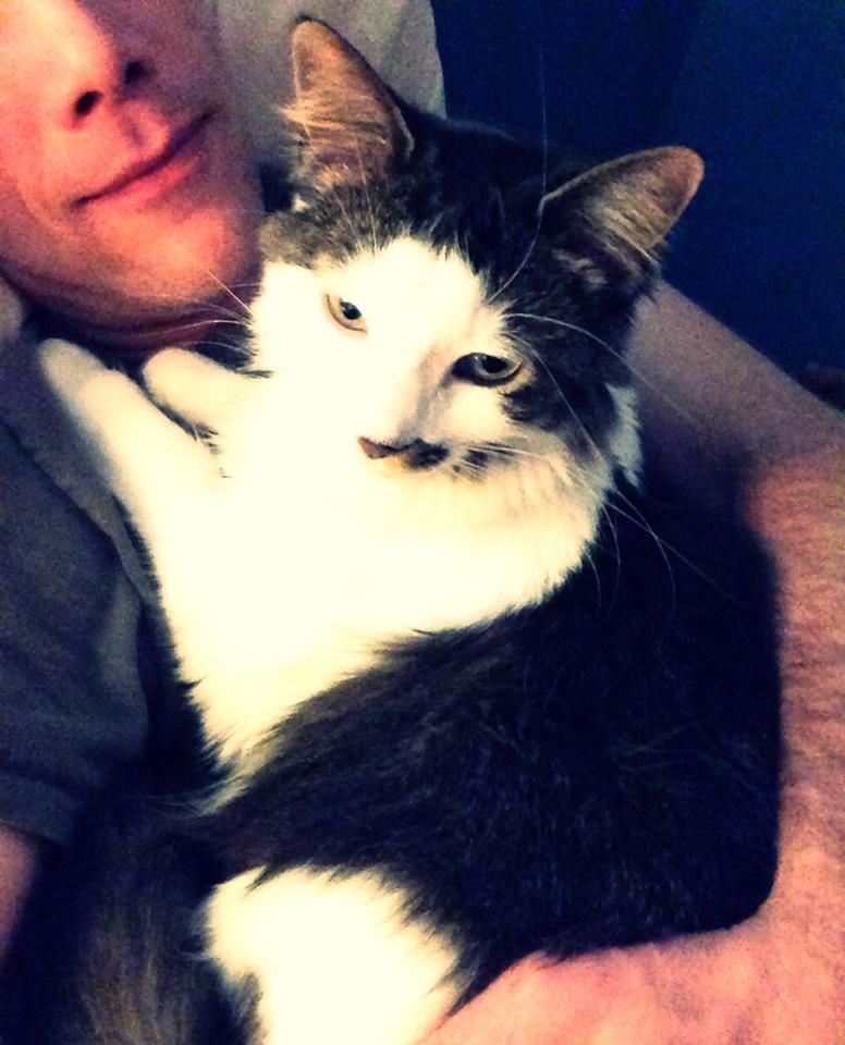 Cat likes to be too close