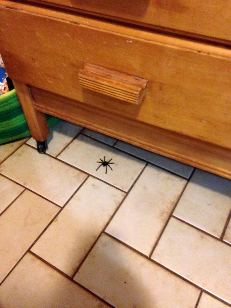 Halloween spider by the dresser