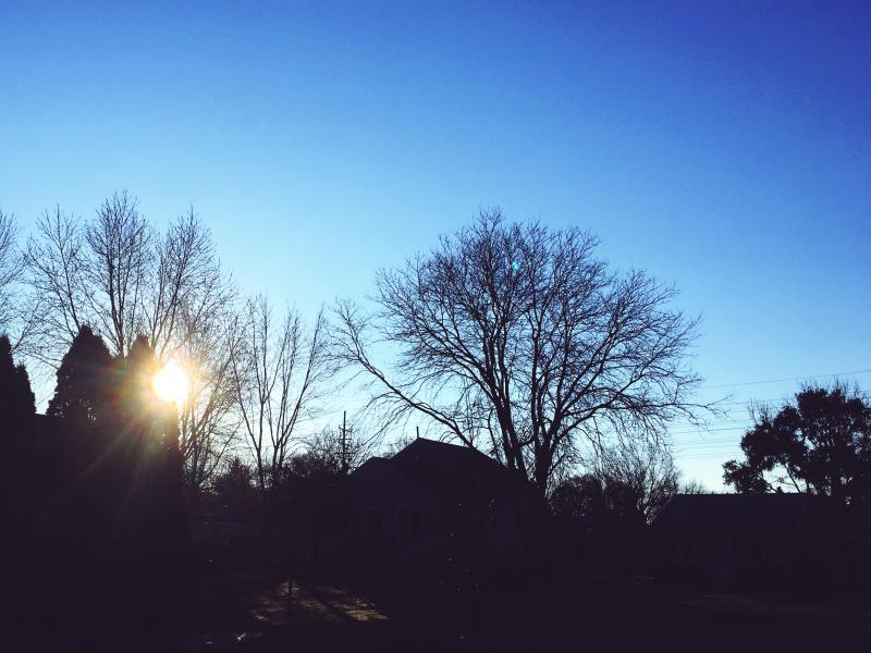 Hope your day is sunny inside and out, peeps