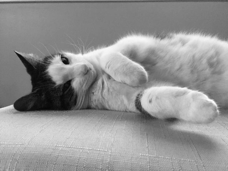 Pearl wanted a photoshoot 1