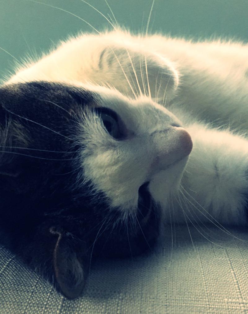 Pearl wanted a photoshoot 2