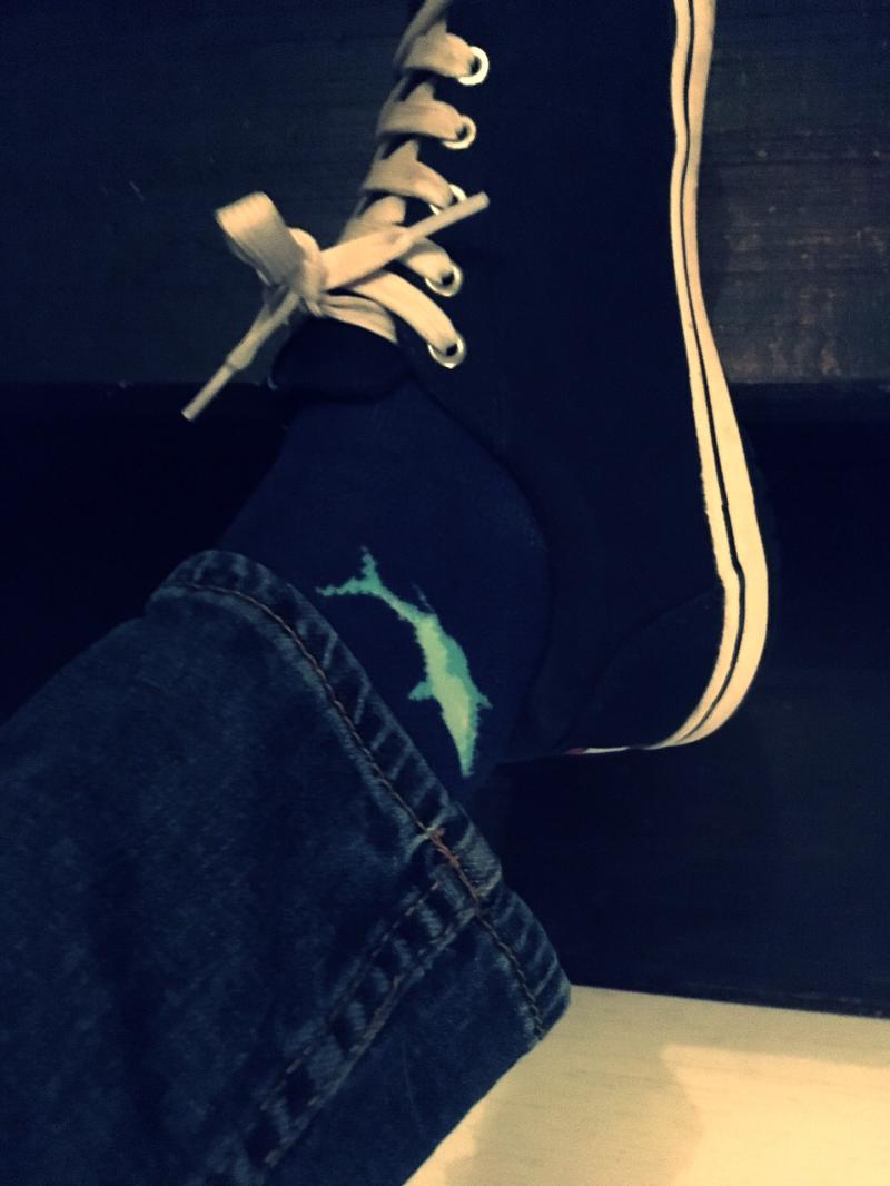 Shark Fashion Week - socks