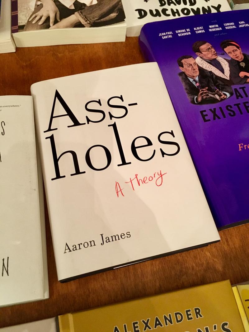 Ass holes a theory book
