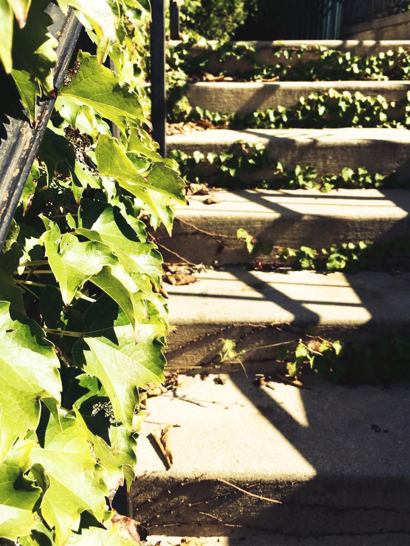 Leafy stairs photoshoot