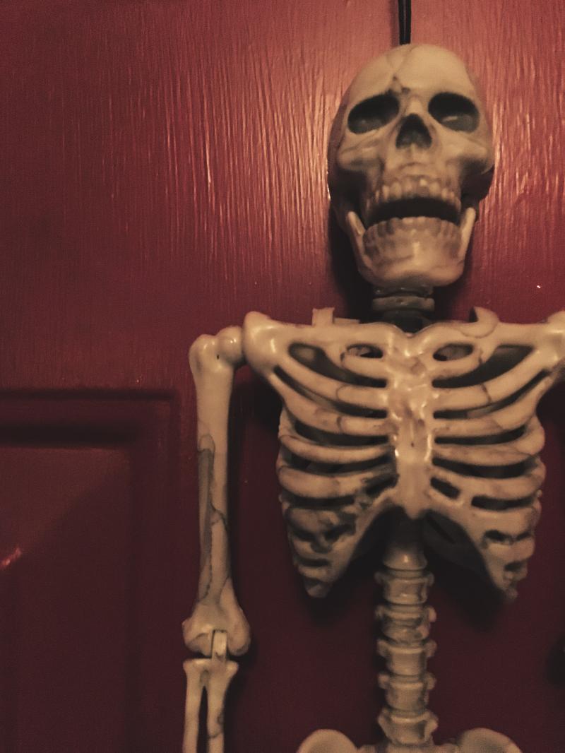 Skeleton on the red door